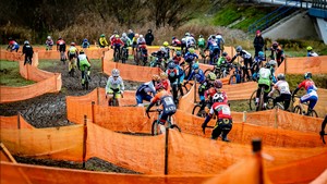 Kliknij, aby powiększyć