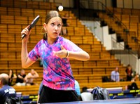 Kliknij, aby powiększyć