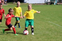 Kliknij, aby powiększyć