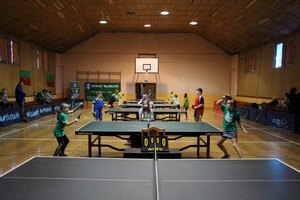 XVII Mistrzostwa Powiatu Kłobuckiego Zrzeszenia LZS w tenisie stołowym